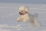 09 Prinzessin Lillifee